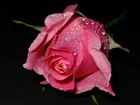 Picture for song 'how u remind me...' by artist 'I rocks'