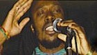 Picture for song 'Jump' by artist 'Iron Roots'