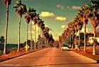 Picture for song 'Cali Vibe (Beat By: iSupportBeatz)' by artist 'iSupportBeatz'