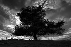 Picture for song 'Nameless' by artist 'Cruncin'
