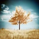 Picture for song 'Such A Faraway Dream' by artist 'JeBarr23'