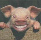 Picture for song 'The Lisp' by artist 'Jeremiah Ecks'
