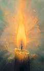 Picture for song 'Amazing Grace /ala Steve Vai' by artist 'Jetplane'