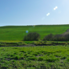 Picture for song 'Do you remember me' by artist 'JLRoman'