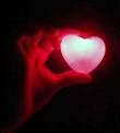 Picture for song 'love is true' by artist 'joe nickerson'