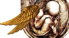 Picture for song 'Born Again' by artist 'Joey Ripps'