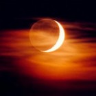 Picture for song 'Moonlight for Misery' by artist 'johnjack'