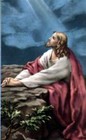 Picture for song 'How Deep The Father's Love For Us - Darlene' by artist 'Johnny Fenlayson'