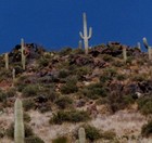 Picture for song 'Speculation - Calvin Stewart collab' by artist 'JoiceMarie'