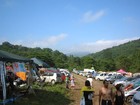 Picture for song 'Maggie's Farm 2007 Live' by artist 'JOKER777'