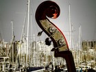 Picture for song 'Flor' by artist 'jorge cumbo'