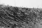 Picture for song '090909 - 05 The Tunguska Event' by artist 'jrmcdaniel'