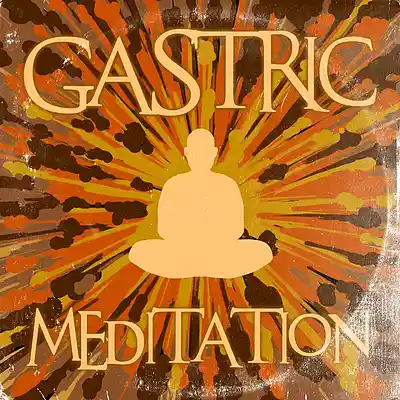 Picture for song 'Gastric Meditation' by artist 'Justin McKellips'