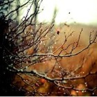 Picture for song 'November Rain' by artist 'Kelton Ree'