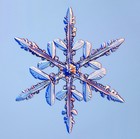 Picture for song 'Joy' by artist 'Ken Clinger'