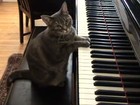 Picture for song 'Serious piano play (FREE DOWNLOAD)' by artist 'Kenk beatS'