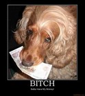 Picture for song 'B*** Betta Have My Money!' by artist 'Keydamac'