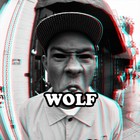 Picture for song 'Wolf Music (Prod.Kharisma)' by artist 'Killer Kharisma'