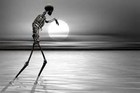 Picture for song 'Dead_Man_Walking..' by artist 'Kingfisher Muzik'