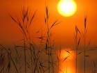 Picture for song 'Slow Summer Motion' by artist 'Klaatu (CT)'