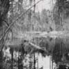 Picture for song 'Shayds of White' by artist 'K L Noonan'