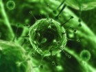 Picture for song 'Virus.mp3' by artist 'Kno Ba Di'