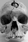 Picture for song 'If I Die Tonight' by artist 'Knowledge Beats'