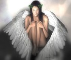 Picture for song 'angel' by artist 'koko'