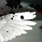 Picture for song 'Speak' by artist 'KoLyric'