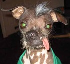 Picture for song 'You've Been Impeached' by artist 'Krayz Kasper'