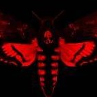 Picture for song 'Not Human (Prod. K.RockOnTheTrack)' by artist 'KRock Produced It'