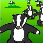 Picture for song 'Badgers' by artist 'Kyle Bishop'
