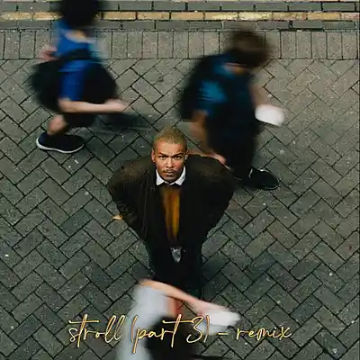 Picture for song ''stroll (part 3) - remix'' by artist 'Larry Soundz'