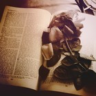 Picture for song 'Deuteronomy Rose' by artist 'Larry Whitler'