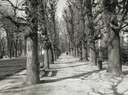 Picture for song 'Walk on By' by artist 'Last Of the Best'