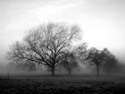 Picture for song 'White Noise' by artist 'LatavishGardner'