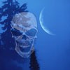 Picture for song 'Residual Madness' by artist 'LaughingSkull'