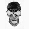 Picture for song 'Rough Estimate' by artist 'LaughingSkull'