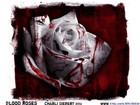 Picture for song 'Missing' by artist 'Leigh-anne'