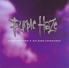 Picture for song 'Purple Haze (Jimi Hendrix)' by artist 'LemonSqueezer'
