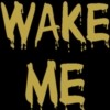 Picture for song 'Wake Me' by artist 'Lethal Yeti'