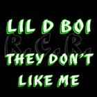 Picture for song 'They Don't Like Me' by artist 'Lil D Boi'
