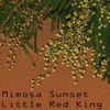 Picture for song 'Mimosa Sunset' by artist 'Little Red King'
