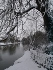 Picture for song 'Ice on the Window' by artist 'Live Dinosaur'