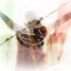 Picture for song 'We Got Dreams' by artist 'Living Latino'