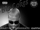 Picture for song 'Diary Of A Opinionated Rappa' by artist 'Lokes(US)'
