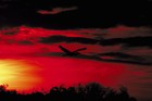 Picture for song 'Make Me new Again' by artist 'Lonnie Crampsey'