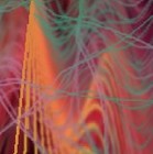 Picture for song 'Steady My Friend' by artist 'Loren'