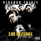 Picture for song 'Las Desmadrosas De Myspace' by artist 'LOS PEZADOS DEL HYPHY'