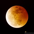 Picture for song 'Paul Wells-Searchin' For the Gravy Train' by artist 'Louie McNeal (ModernDayLouie)'